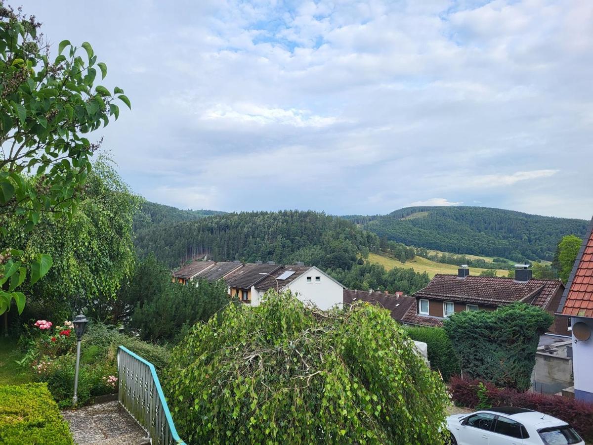 Birkenstuebchen Apartment Lautenthal Exterior photo